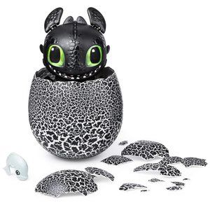 COPY - How to Train Your Dragon Hatching Toothles…